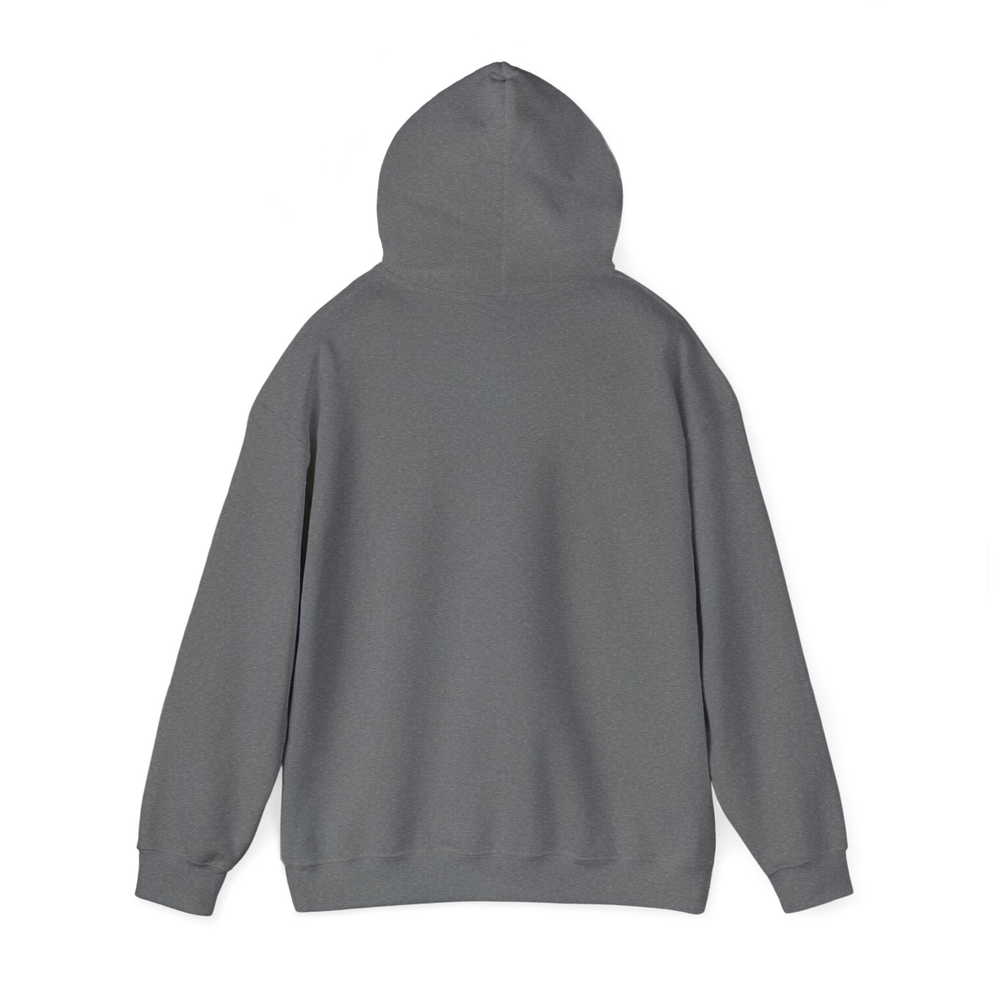 Heavy Hooded Sweatshirt