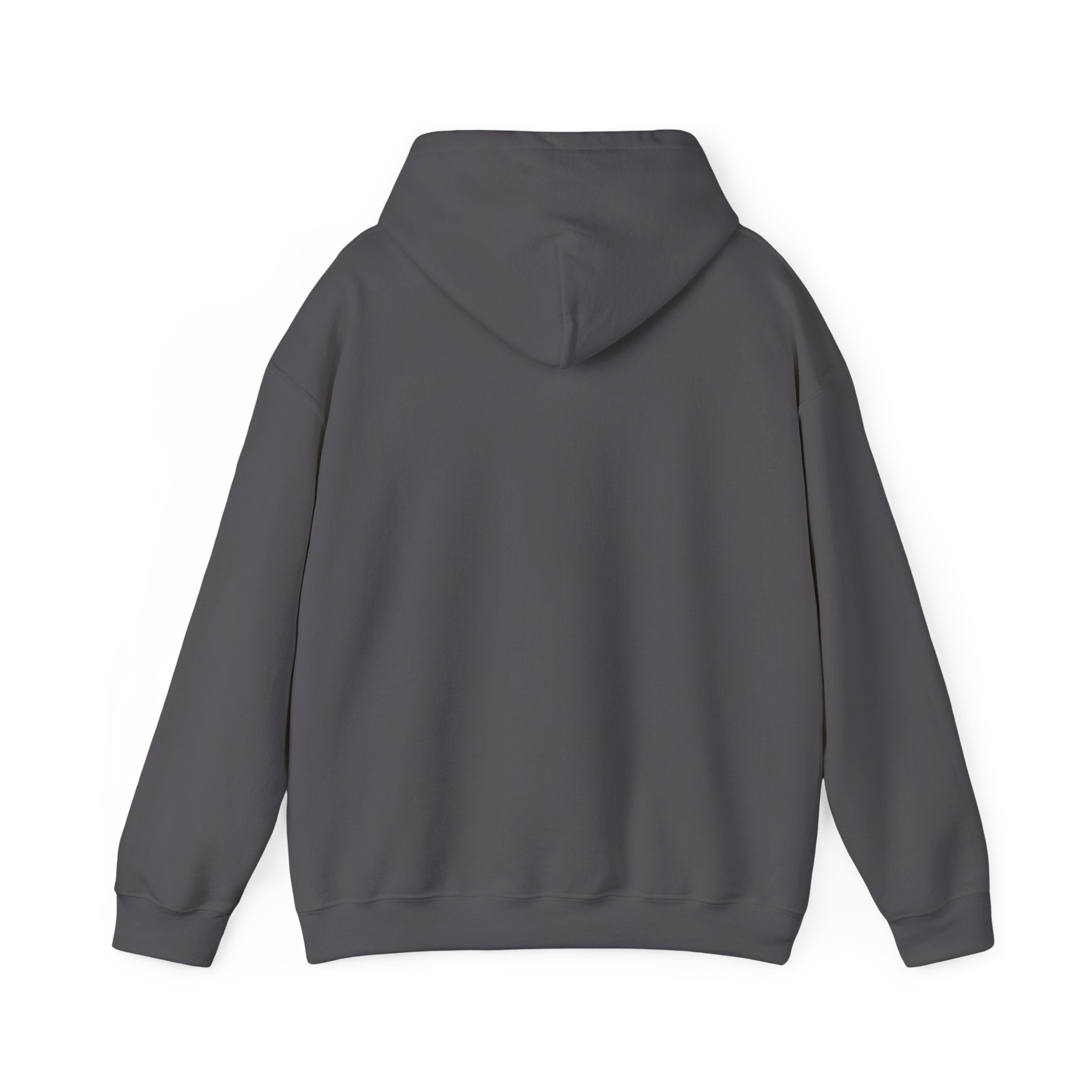 Heavy Hooded Sweatshirt