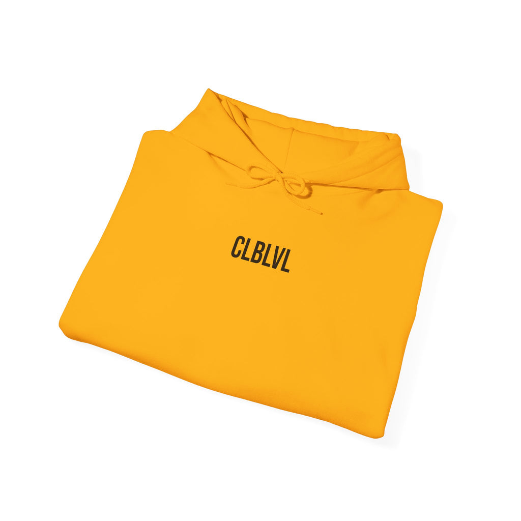 Heavy Hooded Sweatshirt